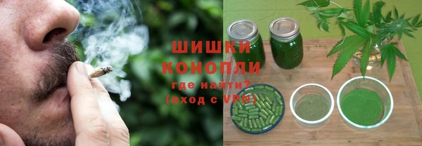 стаф Алзамай