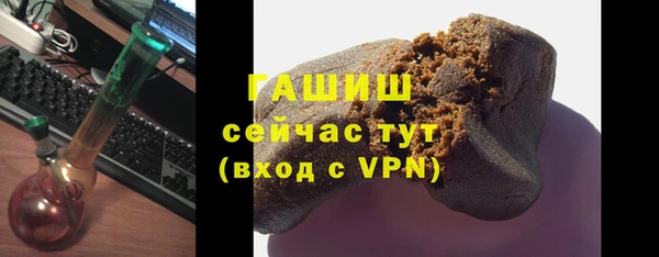 стаф Алзамай