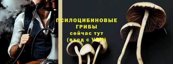 экстази Алексин