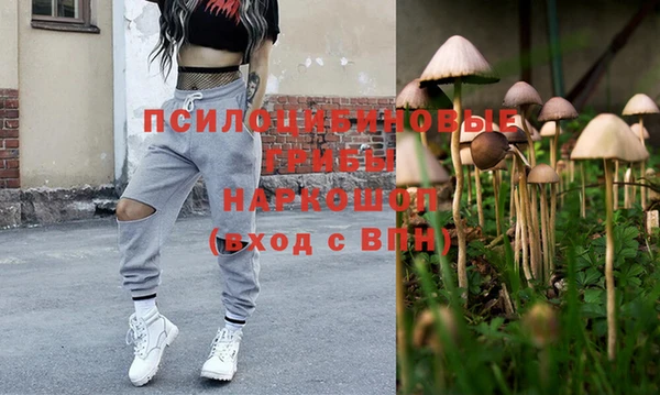 стаф Алзамай