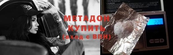 стаф Алзамай