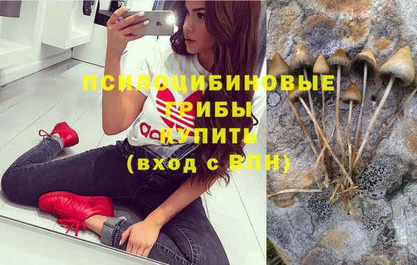 трава Алексеевка