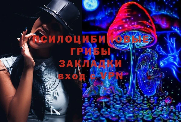 стаф Алзамай